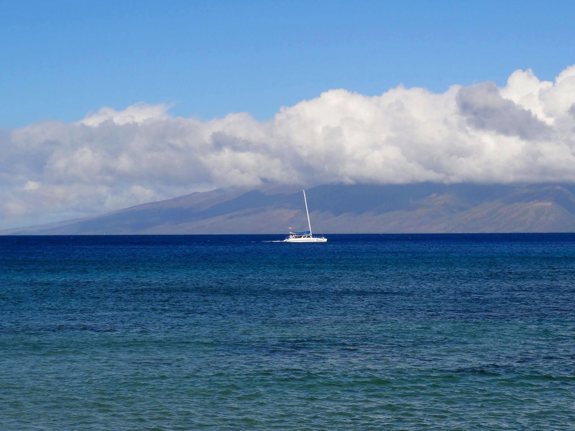 Kaleialoha Condominiums Lahaina Eksteriør bilde