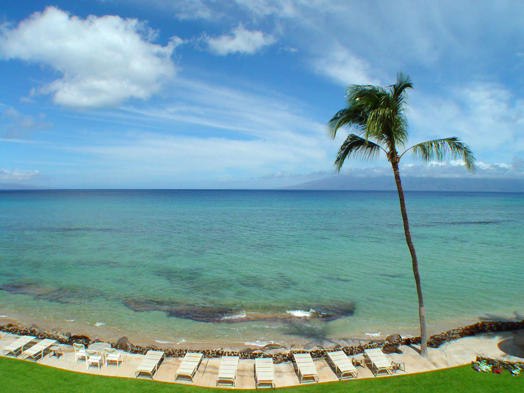 Kaleialoha Condominiums Lahaina Eksteriør bilde