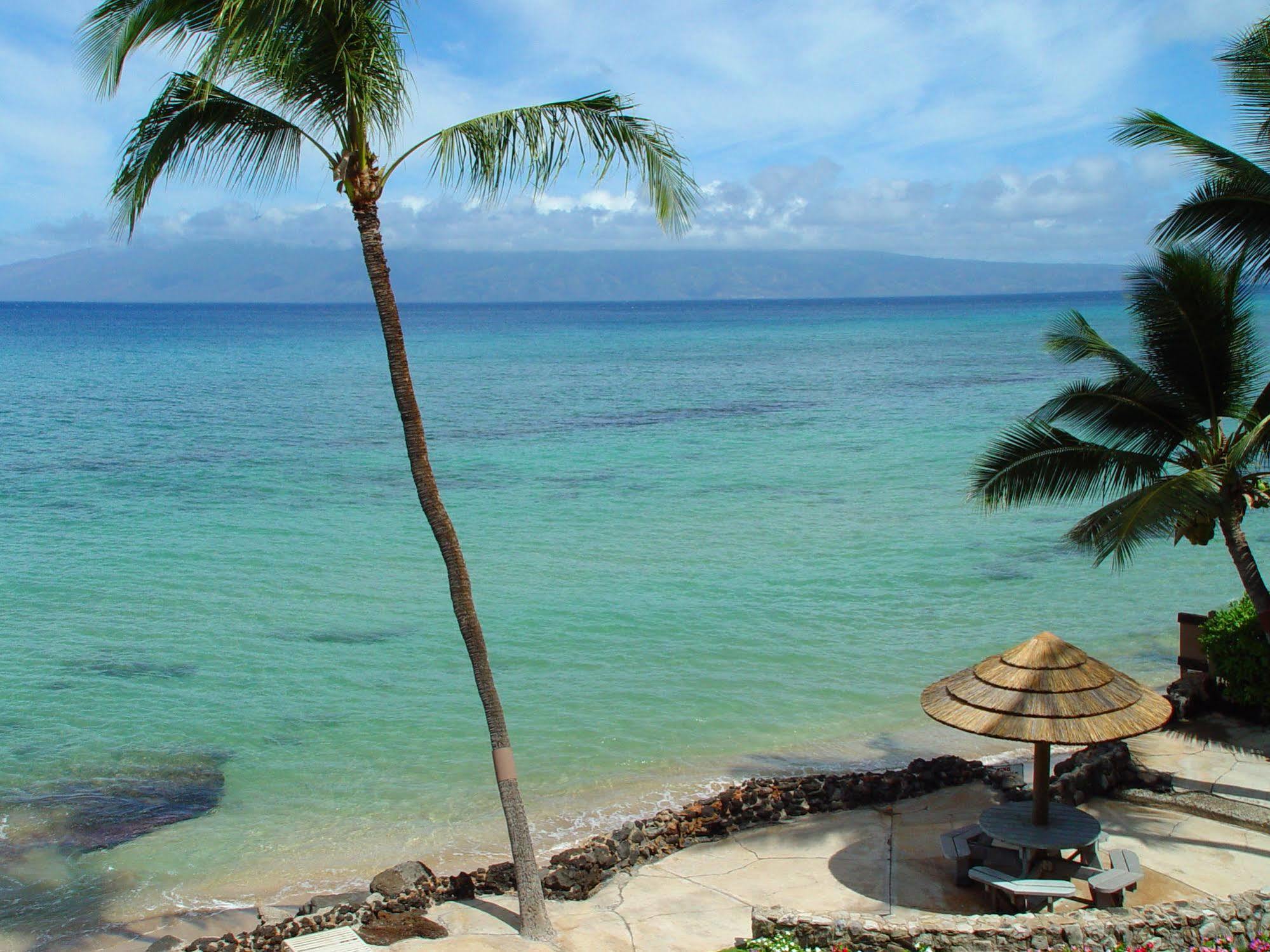 Kaleialoha Condominiums Lahaina Eksteriør bilde