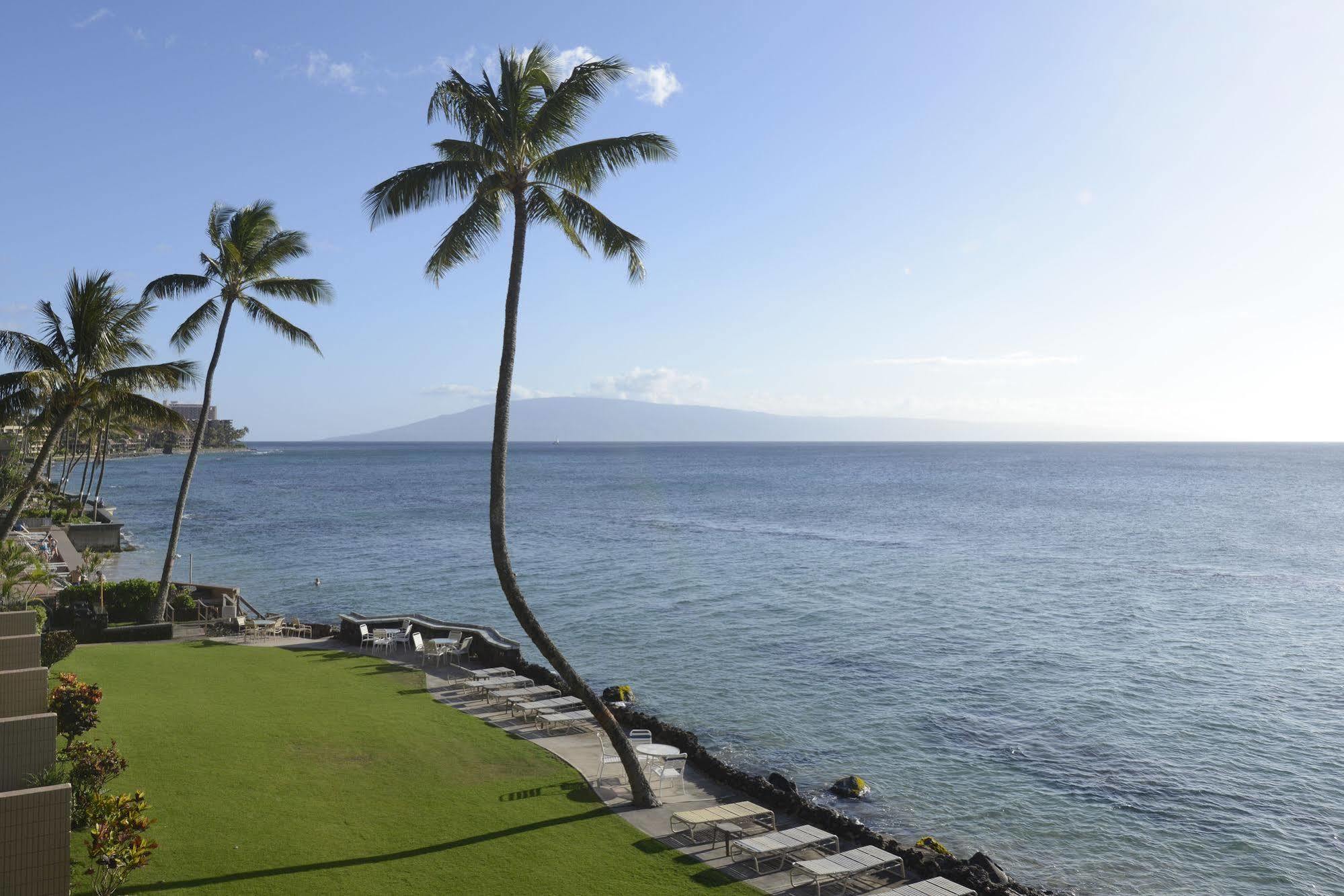 Kaleialoha Condominiums Lahaina Eksteriør bilde